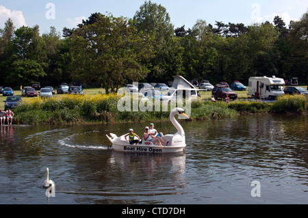 Swan pedalò sul fiume Avon, Warwick, Warwickshire, Inghilterra, Regno Unito Foto Stock