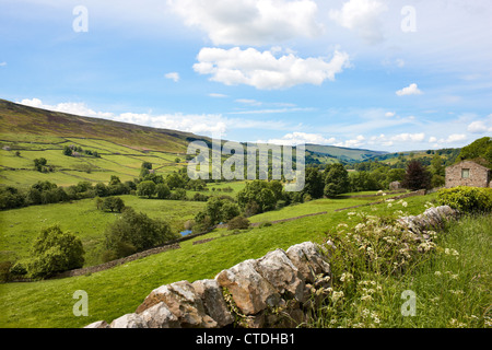 Ricerca Swaledale da appena fuori dal villaggio di Reeth nel Yorkshire Dales REGNO UNITO Foto Stock