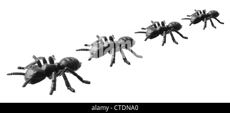 La linea di giocattoli le formiche Foto Stock