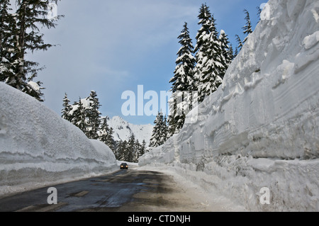 Un alto muro di cancellati linee di neve il Mt. Baker autostrada nello Stato di Washington Foto Stock