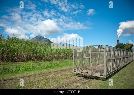 Raccolta della canna da zucchero in contenitori di trasporto a Gordonvale vicino a Cairns in North Queensland, Australia Foto Stock