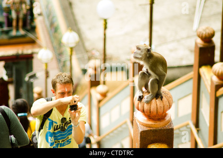 Tourist prende le immagini della scimmia a Batu Grotta della Malaysia. Grotta di Batu è un tempio nella grotta per la comunità indù in Malaysia. Foto Stock