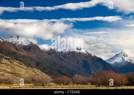 Wilkin Valley, Makarora, montare gli aspiranti National Park, Nuova Zelanda Foto Stock