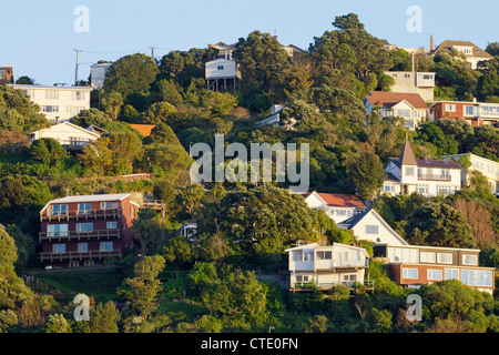 Case aggrappate alla collina, Porto di Wellington, Nuova Zelanda 2 Foto Stock