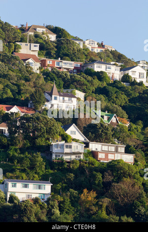 Case aggrappate alla collina, Porto di Wellington, Nuova Zelanda 3 Foto Stock