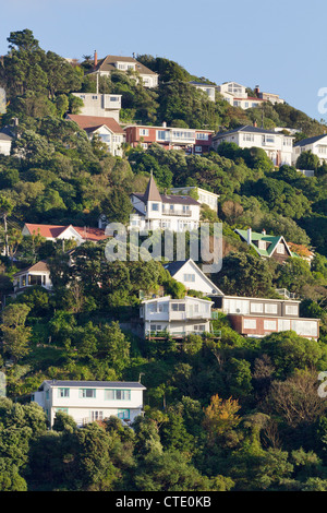 Case aggrappate alla collina, Porto di Wellington, Nuova Zelanda 4 Foto Stock