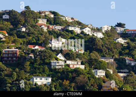 Case aggrappate alla collina, Porto di Wellington, Nuova Zelanda 5 Foto Stock