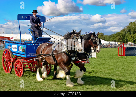 Cavallo e carrello Foto Stock