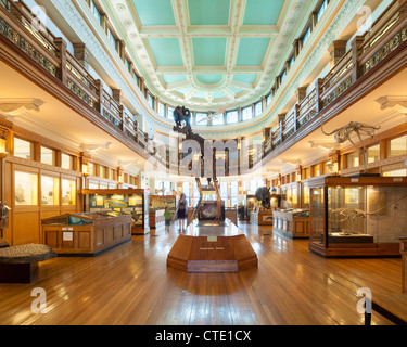 Redpath Museum, McGill University, Montreal Foto Stock