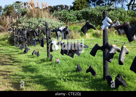 Surreale recinzione gumboot, Northlands, Nuova Zelanda Foto Stock