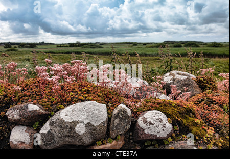 Diga di pietra fatta di massi Foto Stock