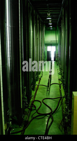 Vino Bergkelder del centro visitatori e impianto di imbottigliamento, Cape Winelands, Stellenbosch, Western Cape, Sud Africa Foto Stock