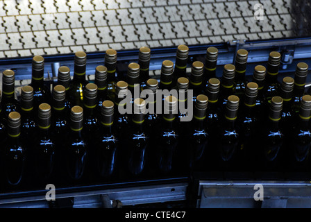 Vino Bergkelder del centro visitatori e impianto di imbottigliamento, Cape Winelands, Stellenbosch, Western Cape, Sud Africa Foto Stock