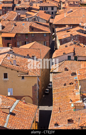 Vista sulla città italiana Lucca con tipici tetti in terracotta Foto Stock