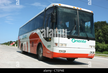 Autobus locale in Messico America Centrale Foto Stock