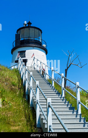 Il gufo di luce di testa sulla stazione di St George Penisola, Knox County, Maine, Stati Uniti d'America Foto Stock