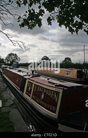 Chiatta ormeggiata in Ellesmere Canal, accanto a Grindley Brook Wharf caravan e campeggio, Whitchurch, Shropshire Foto Stock