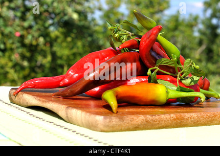 Pila di peperoncino Foto Stock