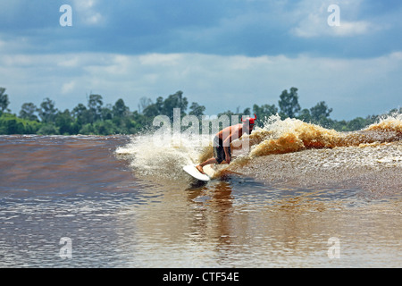 Man River surfing una marea di onda del foro sul fiume Kampar, conosciuto localmente come Bono e chiamato i 7 Fantasmi da stranieri di surfers. Foto Stock