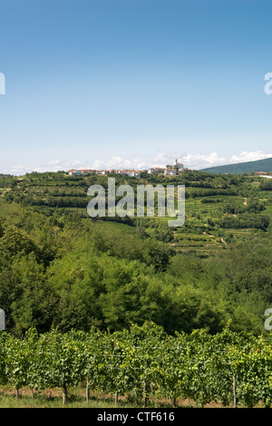 La vista delle colline del Collio Sloveno vigneti Foto Stock