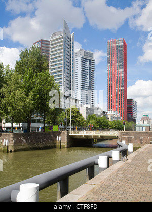 Alto ufficio blocchi e mela rossa appartamenti residenziali da Scheepmakers Haven, Rotterdam, Paesi Bassi Foto Stock