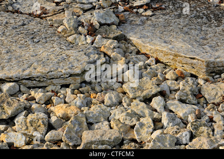 Rocce calcaree lungo la riva del Lago Winnipeg, Hecla/Mola Parco Provinciale, Manitoba, Canada Foto Stock