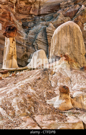 Hoodoos di tutte le dimensioni e le forme contingenti si trovano lungo il lavaggio di Wahweap in Utah's Scalone Escalante monumento nazionale. Foto Stock