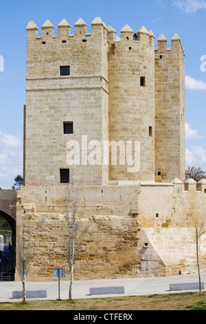 La torre di Calahorra (Spagnolo: Torre de la Calahorra), la medievale torre di difesa a Cordoba, Andalusia, Spagna. Foto Stock