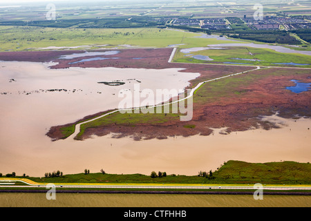 I Paesi Bassi, Lelystad. Parco nazionale chiamato Oostvaardersplassen. Antenna. Le zone umide. Foto Stock