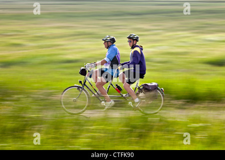 I Paesi Bassi, Arum, nei pressi di Bolsward. Undici città tour in bicicletta ( Olandese: Elfsteden Fietstocht). Foto Stock