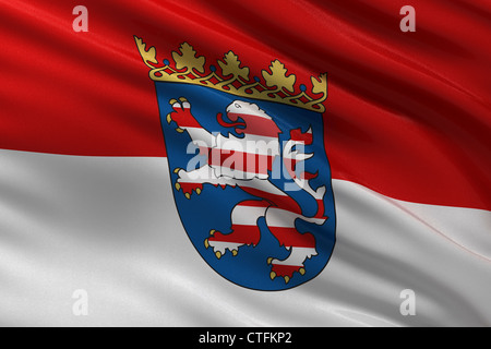 Hessen Landesflagge Foto Stock