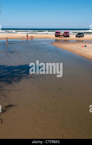 Persone per nuotare e prendere il sole dove Eli Creek incontra l'oceano sul settanta cinque miglia di spiaggia. Foto Stock