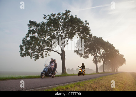 I Paesi Bassi, Zuid Beemster, Beemster Polder, alberi e strada sulla diga che circonda il polder. I giovani sui motocicli Foto Stock
