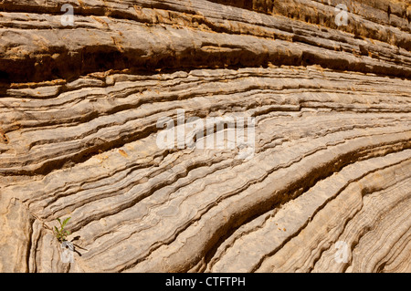 Una parete del Canyon in leccare Lavare Trail nel sud dello Utah STATI UNITI D'AMERICA Foto Stock
