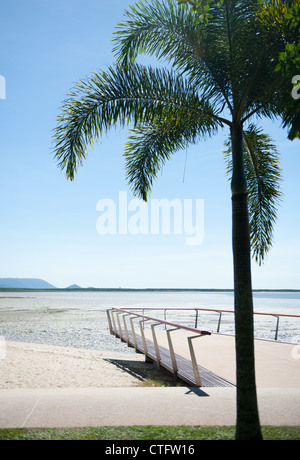 Dettaglio con palm e dal punto di vista del riprogettato Esplanade foreshore a piedi a Cairns, Queensland, Australia Foto Stock