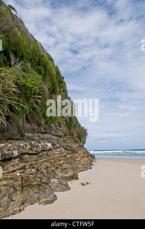 Sulla spiaggia di grotte cattedrale nel quartiere Catlins della Nuova Zelanda Sout Isola Foto Stock