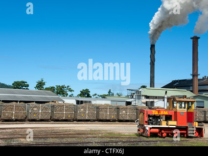 Zucchero di canna loco e contenitori di trasporto portando la canna da zucchero raccolto al Tully mulino per lo zucchero in Tully, Queensland, Australia Foto Stock