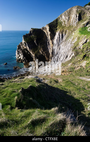 Vista di alcuni della scogliera che fa parte del foro di scale a Lulworth Cove, Dorset, Regno Unito Foto Stock