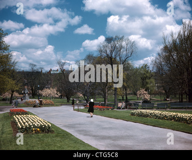 Anni Cinquanta anni sessanta Donna che cammina in Boston Public GARDENS IN PRIMAVERA Foto Stock