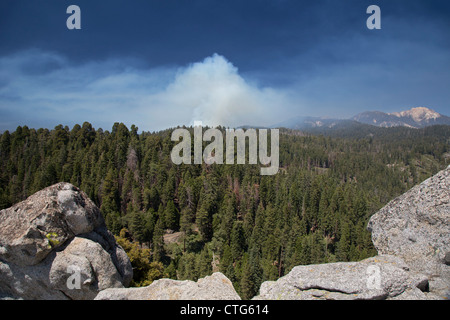 Sequoia National Park, California - Fumo di un fuoco prescritto nel Parco Nazionale di Sequoia. Foto Stock