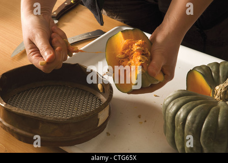 Curcubita maxima 'Queensland blue', la zucca Foto Stock