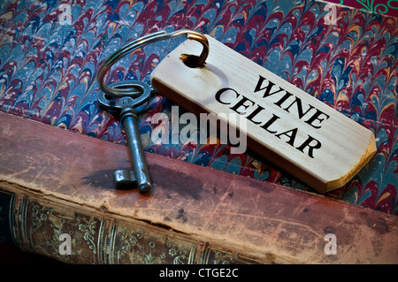 Chiave per la cantina di vini su vecchi weathered Pelle goffrata libro di inventario Foto Stock