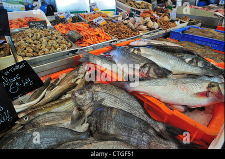 Pesce e frutti di mare freschi in esposizione al mercato coperto del pesce nel porto di Le Tréport, Alta Normandia, Francia Foto Stock