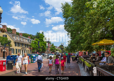 Visualizza in basso il Massachusetts Avenue da Harvard Square, Cambridge, Boston, Massachusetts, STATI UNITI D'AMERICA Foto Stock