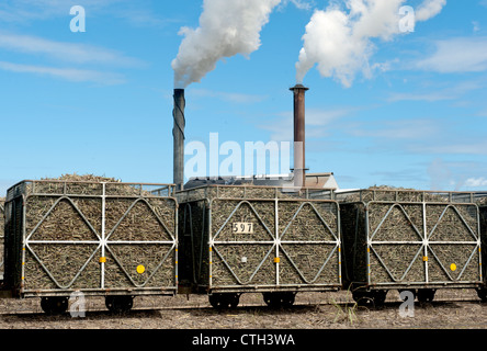 La canna da zucchero trasportato in contenitori su rotaia per il Tully mulino per lo zucchero in Tully, Queensland, Australia Foto Stock