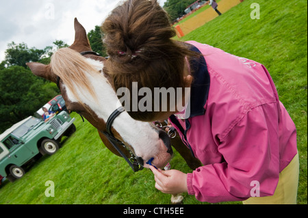 Ragazza cavalli di rasatura naso al piccolo paese rurale mostra su farm at Cwmdu Powys Wales UK Foto Stock