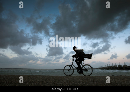 I Paesi Bassi, Kamperland, Donna ciclismo contro il vento tempestoso. Foto Stock