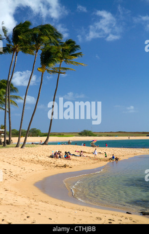 Stagno di sale parco situato sull'isola di Kauai, Hawaii, Stati Uniti d'America. Foto Stock