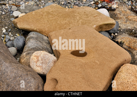 Costiera di rocce di arenaria scolpita dalla marea azione sulla riva di Juan de Fuca Strait Whiffen Spit (Sooke), BC, Canada Foto Stock