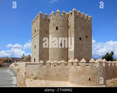 Spagna; Andalusia; Cordoba, Torre de la Calahorra, tower Foto Stock